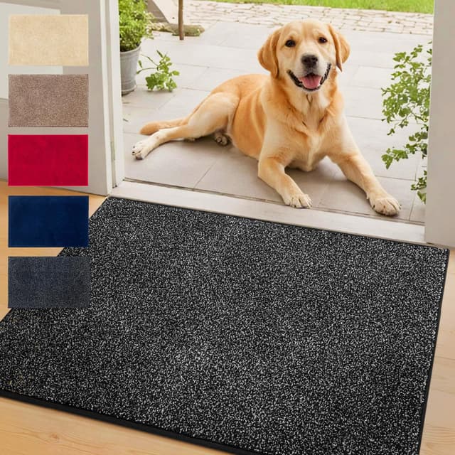 Floordirekt Schmutzfangmatte NASA, Anthrazit - 60 x 90 cm Fußmatte, Türmatte für Eingangsbereich aus Polyester mit Rutschfester Unterseite Anthrazit 90 x 60 cm (Rechteckig)