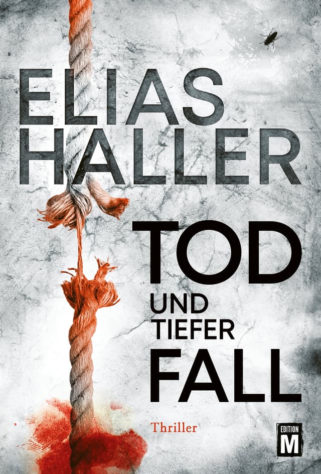 Tod und tiefer Fall (Ein Erik-Donner-Thrillers 1)