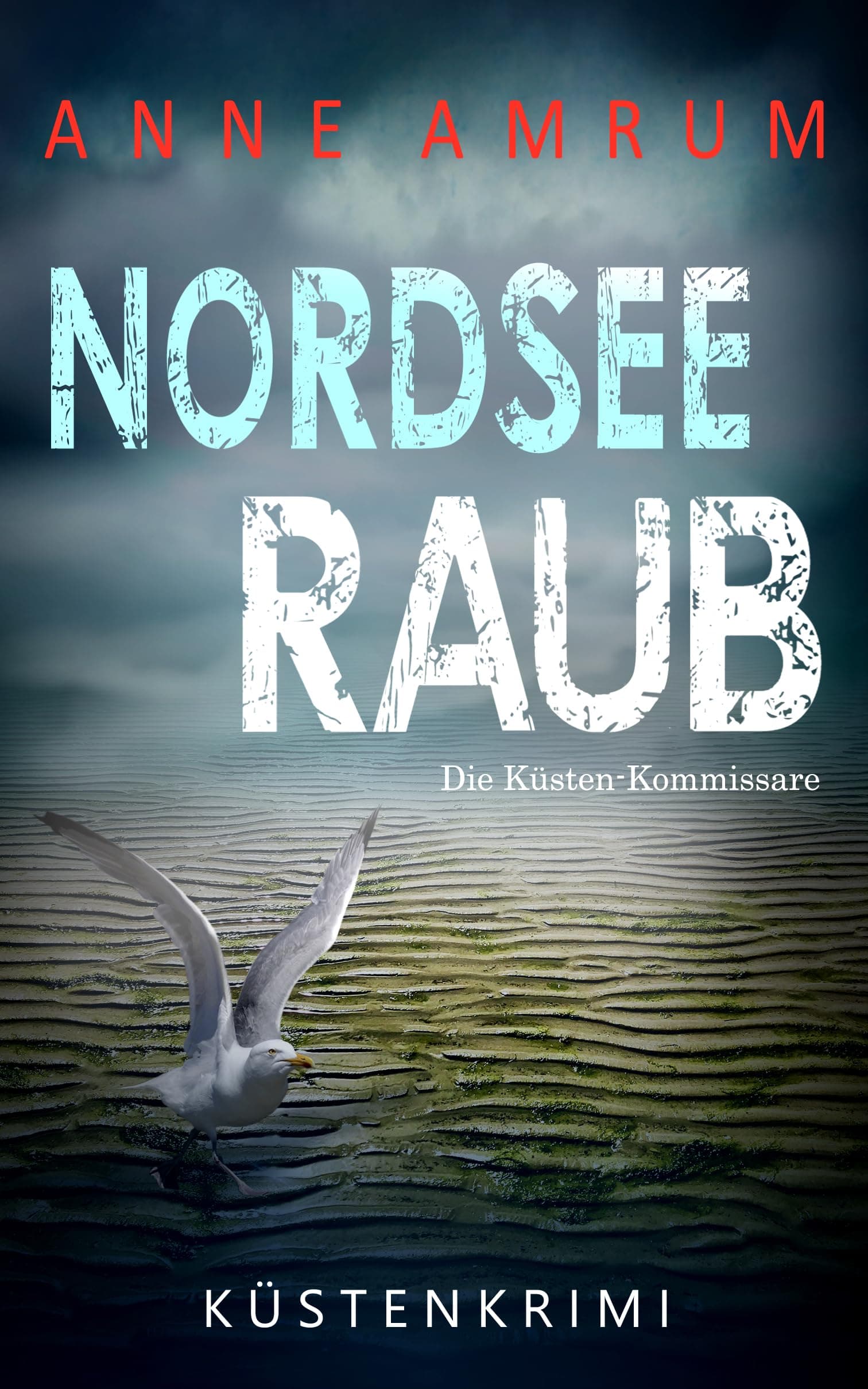 Nordsee Raub - Die Küstenkommissare: Küstenkrimi Nordseekrimi (Die Nordsee-Kommissare 29)