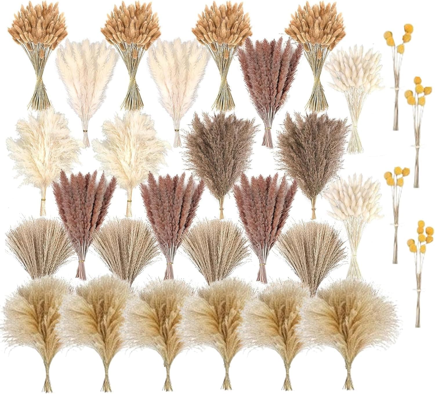 crafity 720pcs Getrocknete Blumen Pampasgras zum Basteln Natürliche Trockenblumenum Deko für Hochzeit Blumenarrangements Zuhause Wohnkultur DIY