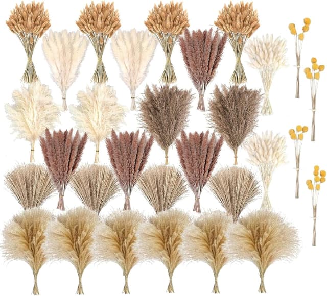 crafity 720pcs Getrocknete Blumen Pampasgras zum Basteln Natürliche Trockenblumenum Deko für Hochzeit Blumenarrangements Zuhause Wohnkultur DIY