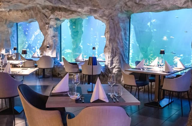 JOCHEN SCHWEIZER Geschenkgutschein: Gourmet-Menü im Unterwasser-Restaurant in Neuwied für 2