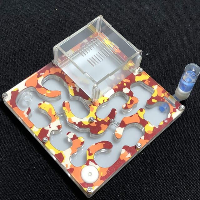 ant grape 140 * 140mm großer Raum Camouflage-Ameisenfarm-Ameisenhügel Pädagogisches Formicarium mit Feuchtigkeits- und Wasserzufuhr für LIVE-Ameisen (Camouflage Autumn)