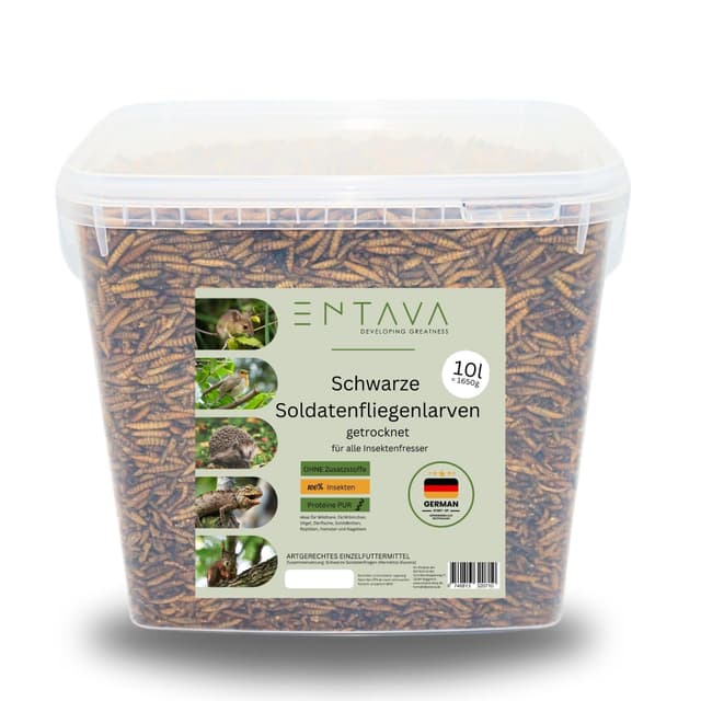 ENTAVA 10l Soldatenfliegenlarven getrocknet in Premium-Qualität, Vogelfutter, Koifutter, Igelfutter, Eichhörnchenfutter, ganzjähriges Futter für Wildvögel (10 Liter (1400g)) (10l)