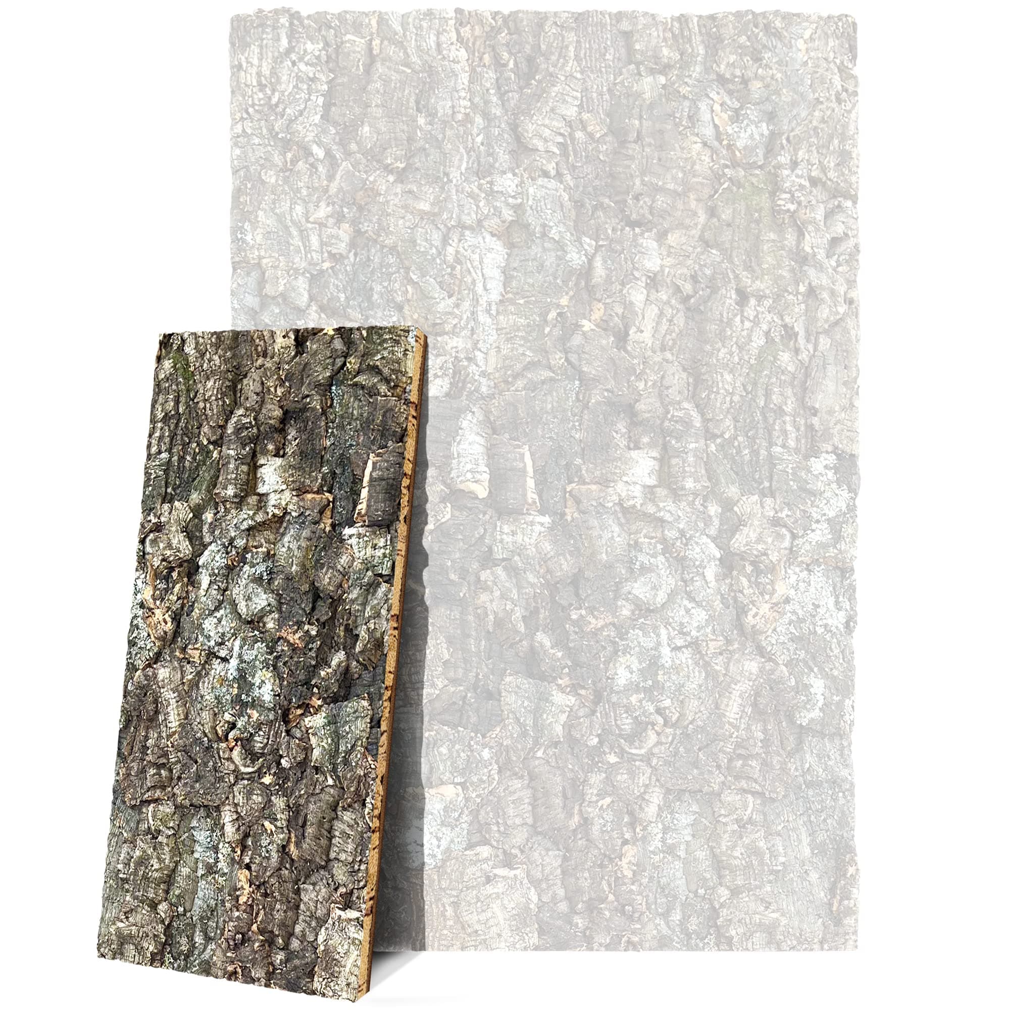 XL Korkrückwand 60 x 30 cm – 3D Rückwand aus Naturkork für Terrarium, gereinigt und desinfiziert, nachhaltiges Design im Forest Stil, ideal für Reptilien, Schildkröten, Geckos, Bartagame, Schlangen