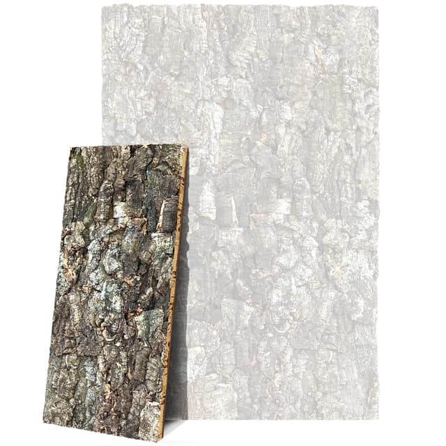 XL Korkrückwand 60 x 30 cm – 3D Rückwand aus Naturkork für Terrarium, gereinigt und desinfiziert, nachhaltiges Design im Forest Stil, ideal für Reptilien, Schildkröten, Geckos, Bartagame, Schlangen