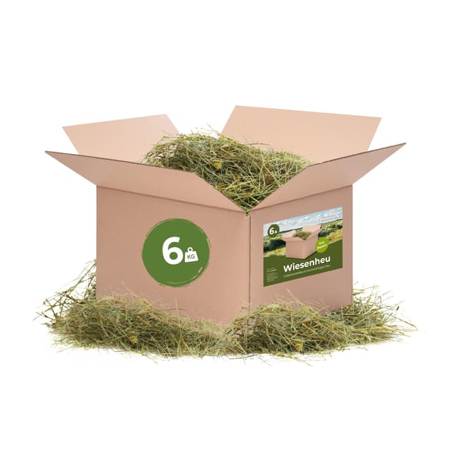 Bolson frisches & unbehandeltes Wiesenheu (6 kg) - 1.Schnitt Heu mit Gräsern & Blüten aus Bayern - direkt ab Hof verpackt - hochwertiges Heu zur Fütterung & Einstreu von Kaninchen, Hamster 6 kg (1er Pack)
