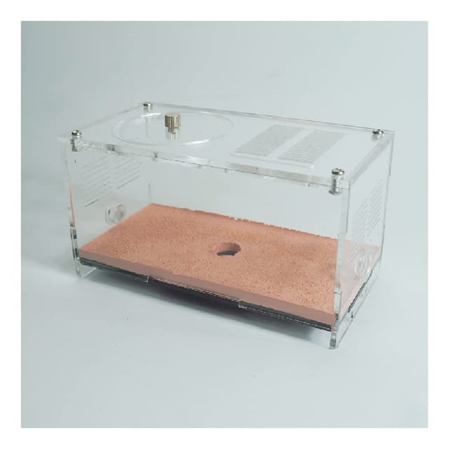 Unendliche Erweiterung Ameisenfarm Beton AntHouse Formicarium Ameisennest Mit Fütterungsbereich Ameisen Haus Insekt Villa Ameisenhaufen Werkstatt Ant Farm Futterbox (Color : A)