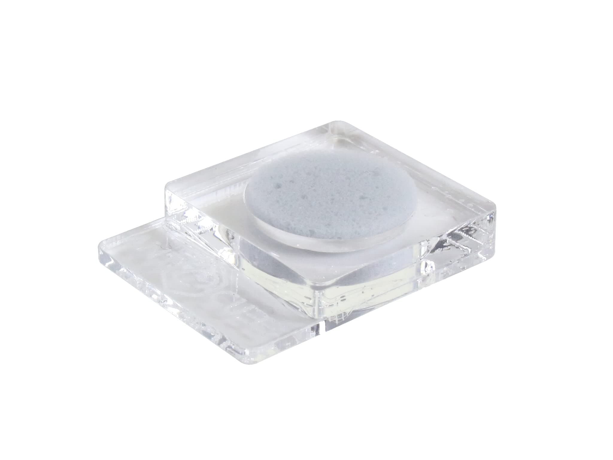 ANTCUBE Napf klar 1x20 - Schwamm für Insekten