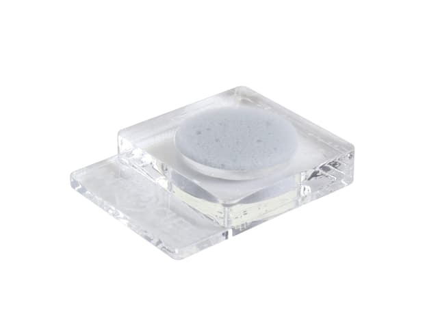 ANTCUBE Napf klar 1x20 - Schwamm für Insekten