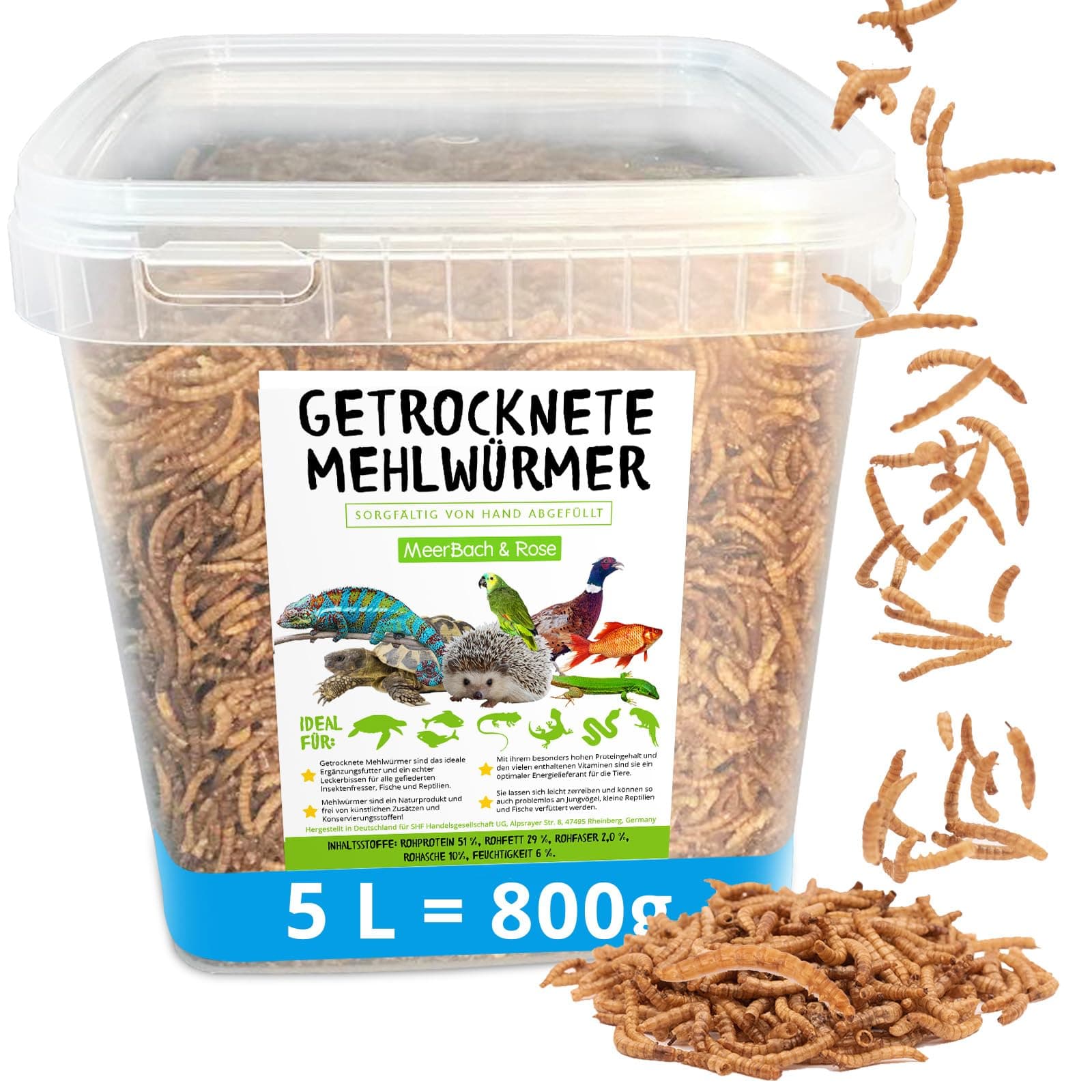 Mehlwürmer getrocknet, 800g (entspricht 5 L) getrocknete Mehlwürmer im praktischen Eimer, proteinreicher Snack für Wildvögel, Fische, Reptilien und Nager 800 g (1er Pack)