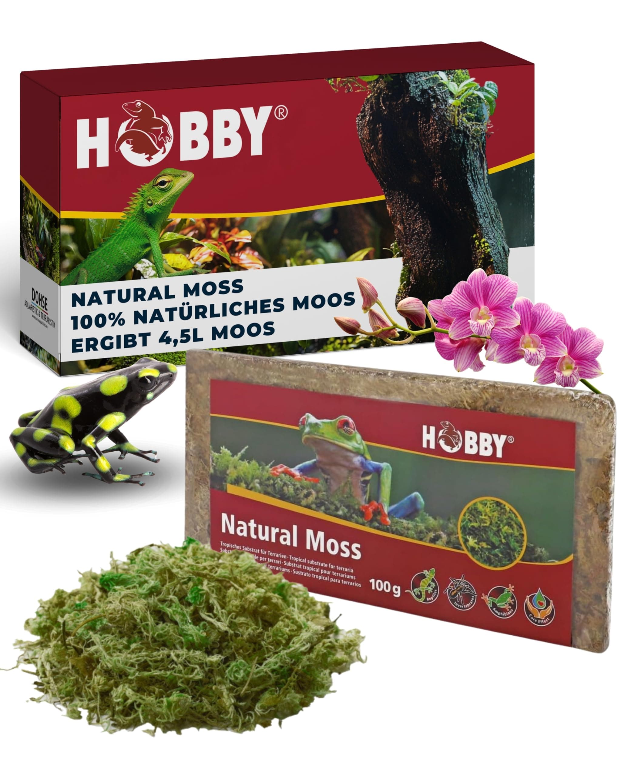 HOBBY Terraristik Natural Moss I 100g I tropisches Substrat für Terrarien und Orchideen I Moos für Terrarien I 100% natürlich und ohne chemische Zusätze I Moos zur Erhöhung der Luftfeuchtigkeit