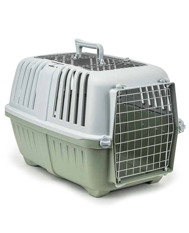 lionto Hundetransportbox aus Kunststoff mit Metallgitter, 58,5x35,5x40 cm, Transportbox mit praktischem Schließsystem & Tragegriff, auch geeignet für Katzen & Kleintiere, für Haustiere bis 15kg, grün Hellgrün