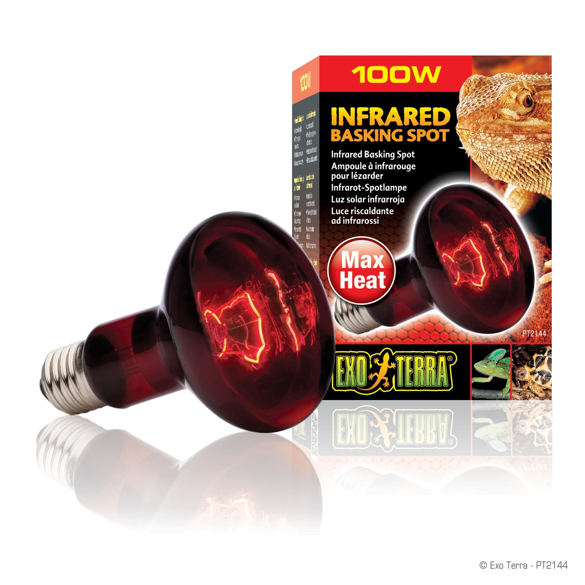 Exo Terra Infrared Basking Spot, Wärmespotlampe, R25, 100W, Fassung E27 1 Stück (1er Pack) R25 / 100 W