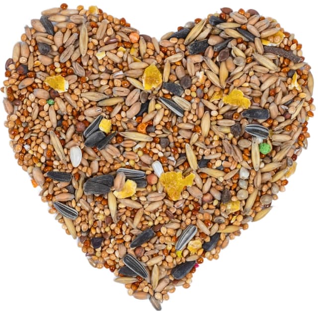 Lyra Pet® | 25 kg Nymphensittichfutter Großsittichfutter | Alleinfutter für Großsittiche | Vogelfutter für Sittiche | Nahrhaftes Futter | Energiespender für Nymphensittiche | Artgerecht & Natürlich