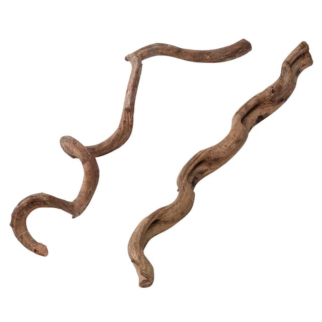 Terra Della, Lianes SM – 75 cm, Naturholz für Terrarien, natürliche Liane, extrem dekorativ, sicher, kann gereinigt Werden, Nicht für Aquarien geeignet <> 75 cm