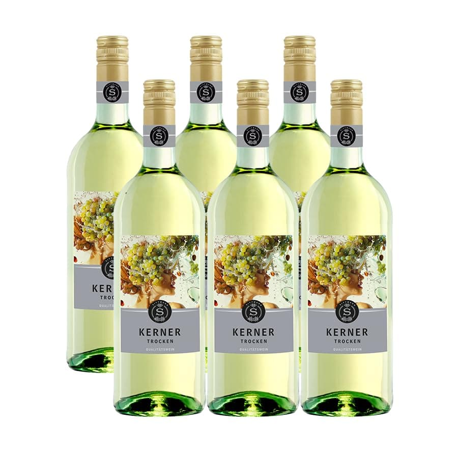 TEC-2000 - Motorspülung Diesel Benzin Engine Flush - Drosselklappenreiniger, Diesel Motorreiniger Benzin, Einfache Anwendung, Motorreiniger Motorwäsche Reiniger - Auto Motor Reiniger 375 ml