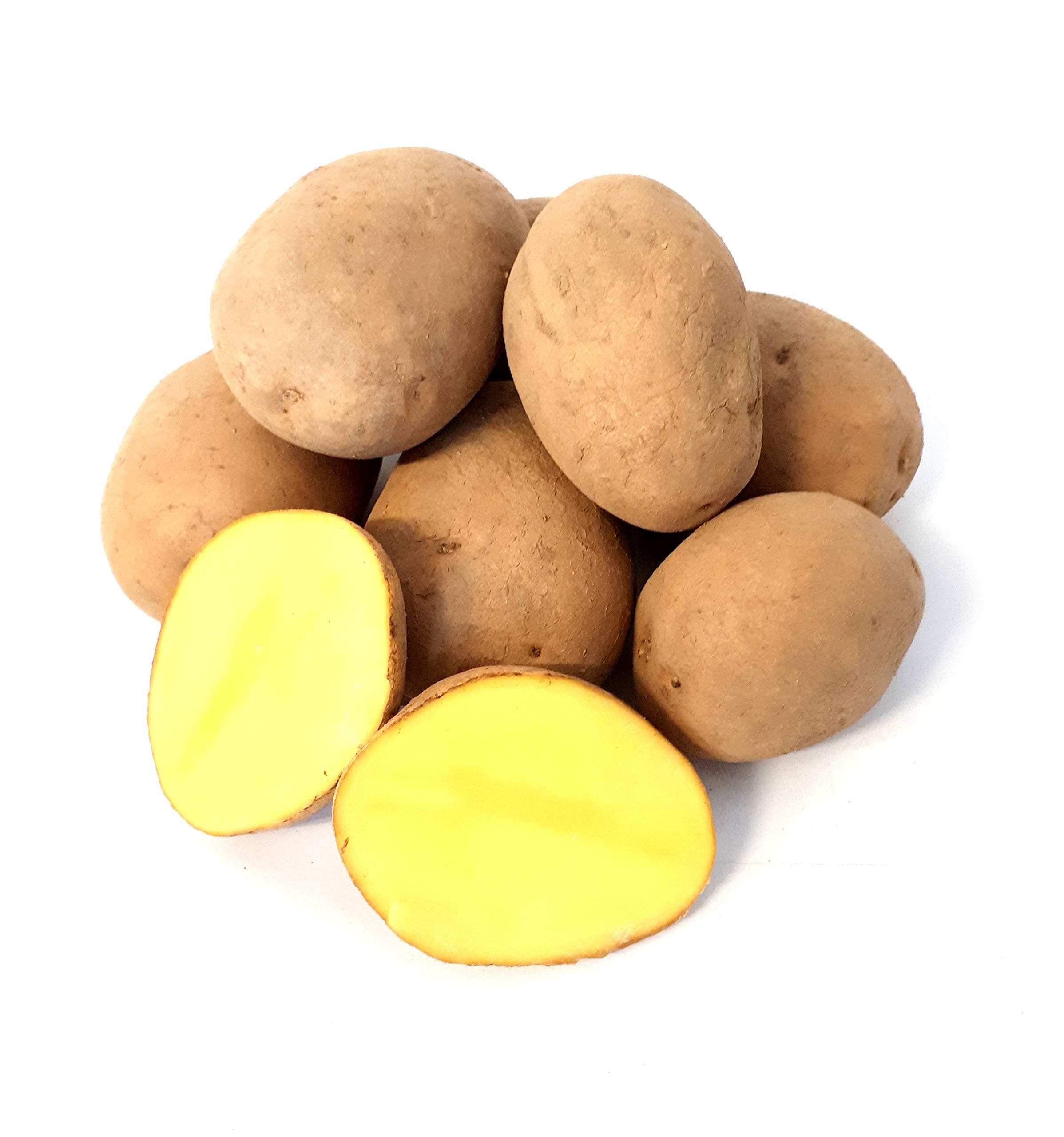 Kartoffel Afra mehlige Kartoffeln 1-25 Kg deutsche Speisekartoffel perfekt für Kartoffelsuppe, Püree, Knödel, Kroketten, Ofenkartoffeln Aufläufe Salzkartoffeln auch zum Grillen geeignet (1) Ernte 2024 25.0 Kilogramm