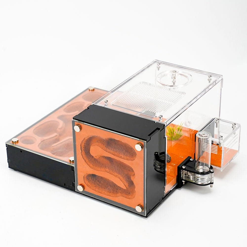 Rimsunta Ameisenfarm für lebende Ameisen - für kleine Ameisen-Klonie - Natürliches Lernspielzeug - Tolles Geschenk