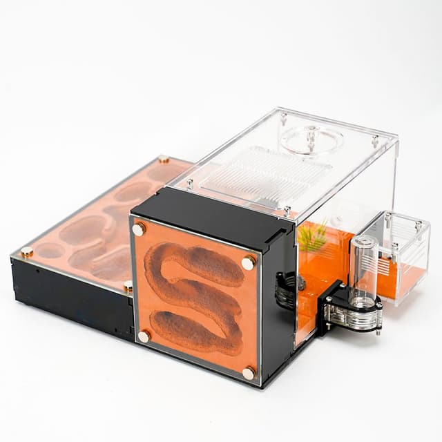 Rimsunta Ameisenfarm für lebende Ameisen - für kleine Ameisen-Klonie - Natürliches Lernspielzeug - Tolles Geschenk