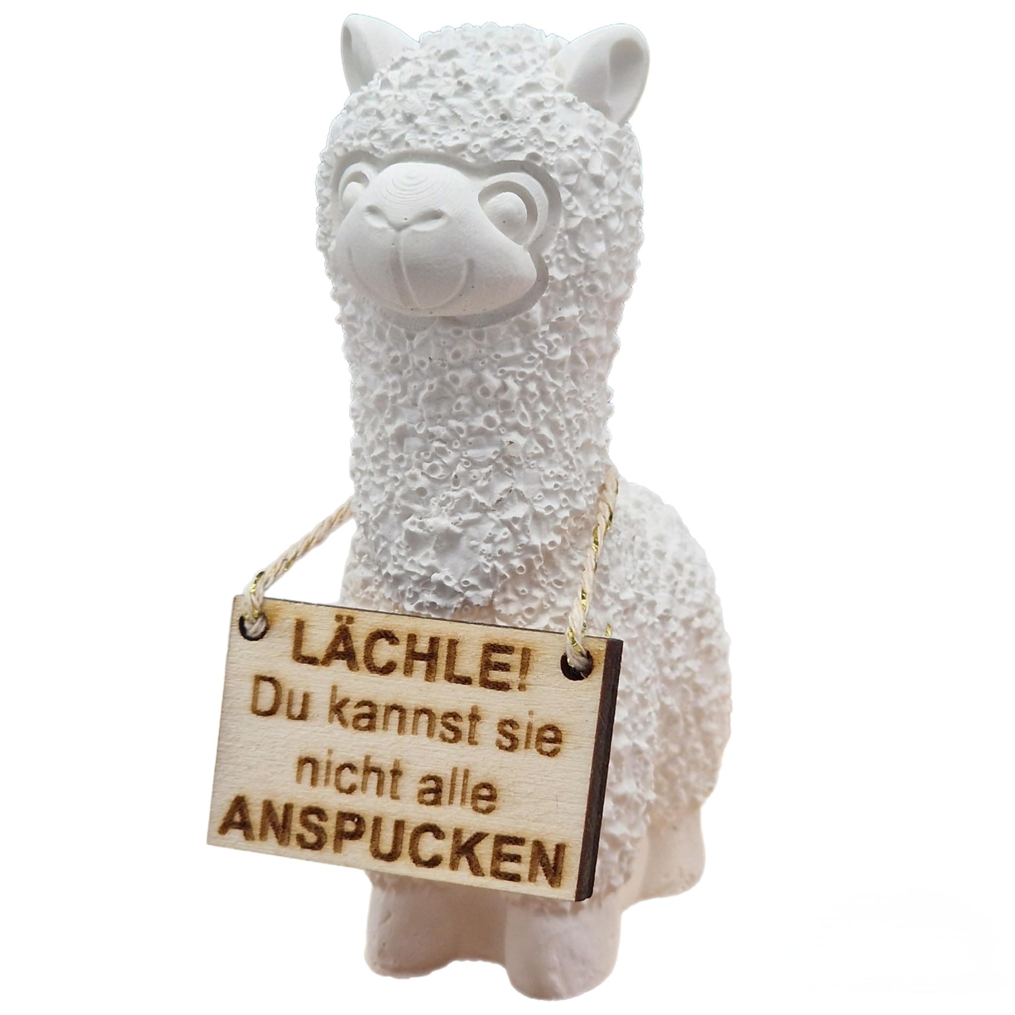 Lustige Alpaka Figur mit Holzschild – „Lächle! Du Kannst sie Nicht alle anspucken“ – Deko Tier aus Guss – Geschenkidee für Büro, Kollegen & Freunde – Lama Dekofigur Angebot bei HelloDeals