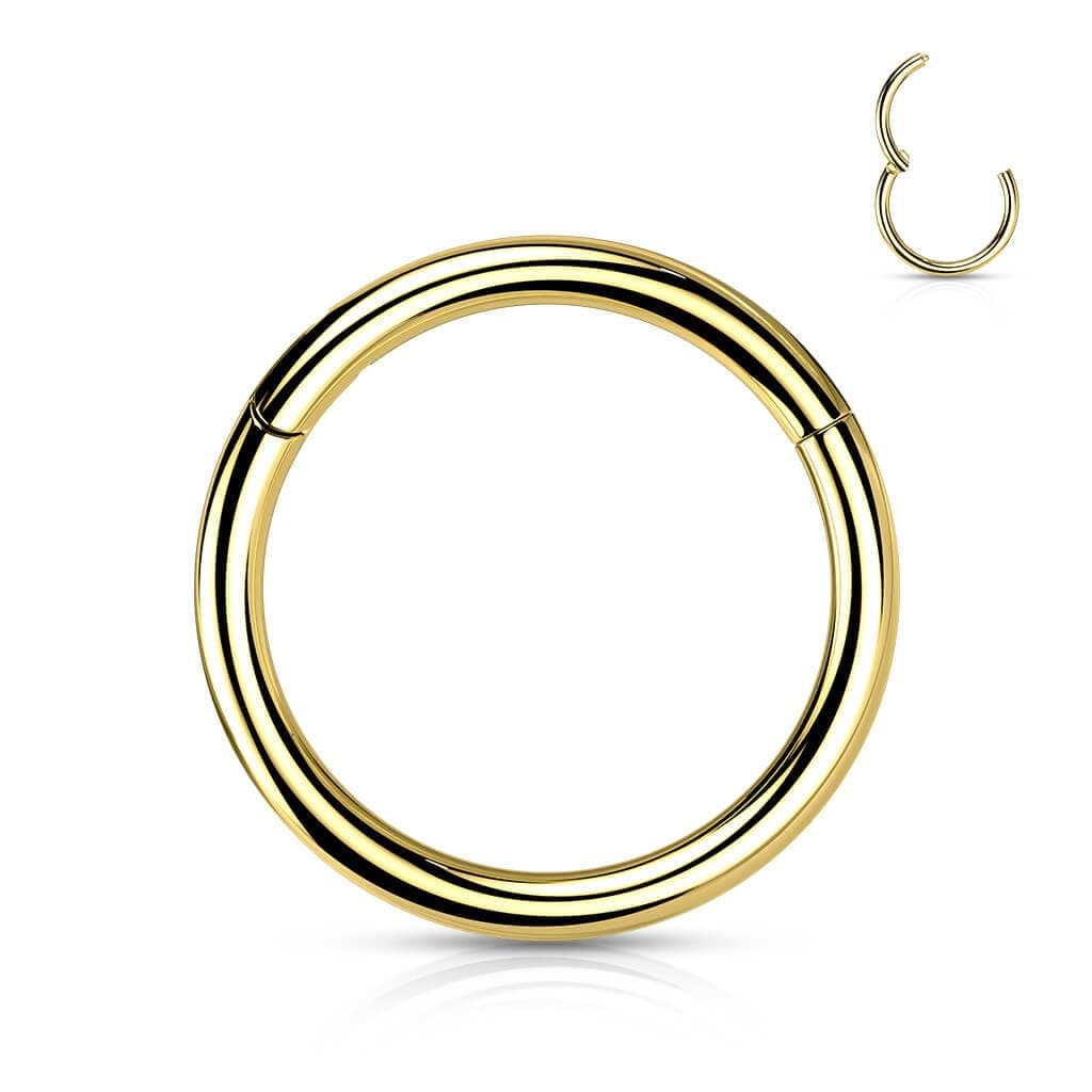 Nasenpiercing Ring Clicker aus Titan – Septum Piercing Helix Conch Tragus Nostril – Nasenring Segmentring Scharnier – Viele Größen – Gold, Silber und weitere Farben Gold 0,8 mm Stabstärke / 6 mm Durchmesser Angebot bei HelloDeals